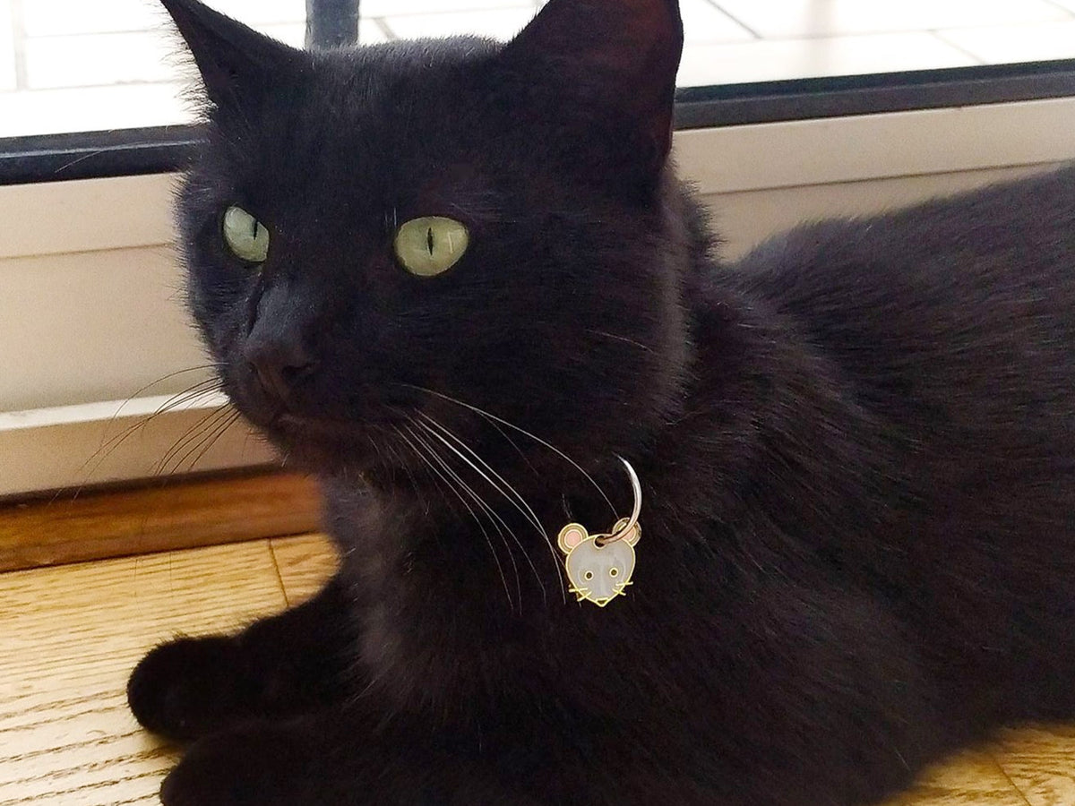 La médaille souris à graver pour chat