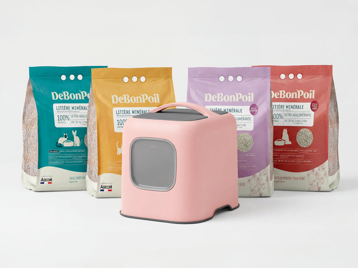 Pack Bac à litière Rotho + Litière DeBonPoil minérale (x2)