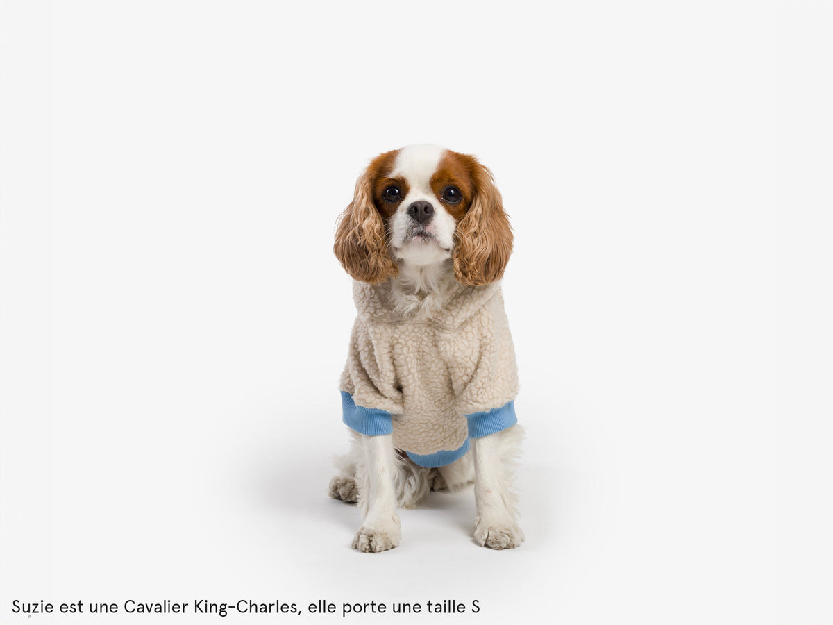 Hoodie en sherpa tout doux, pour chien