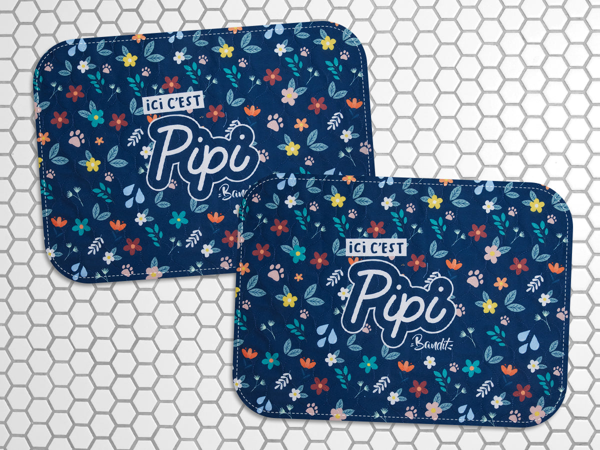 Lot de 2 tapis de propreté
