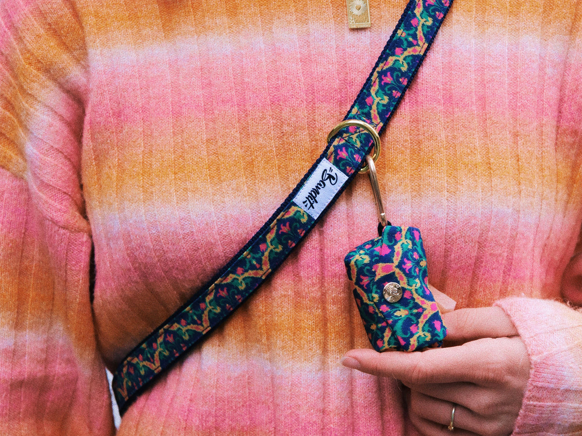 Pochette pour sacs à crottes multicolore