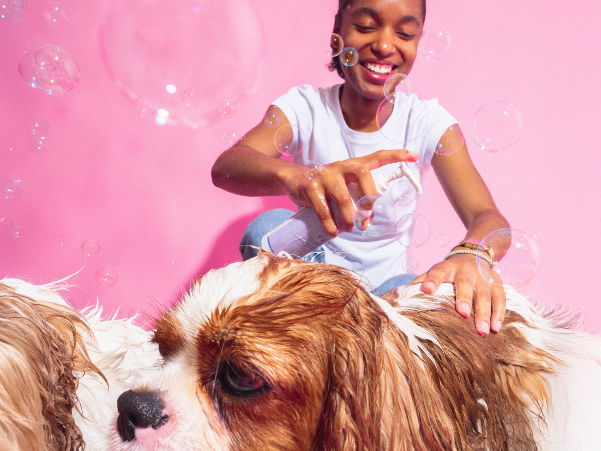 Shampoing pour animaux extraordinaires Bandit x Merci Handy