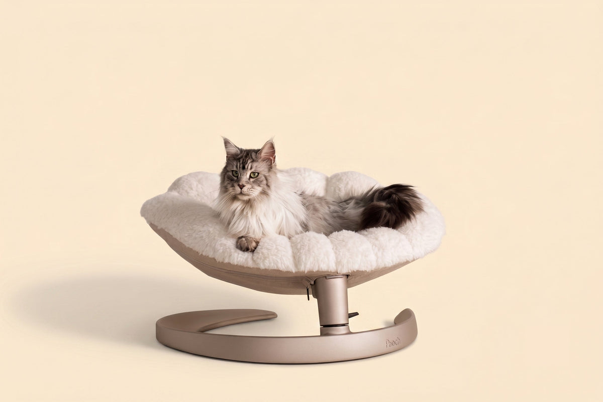 Fauteuil suspendu pour animaux Shell Tavo