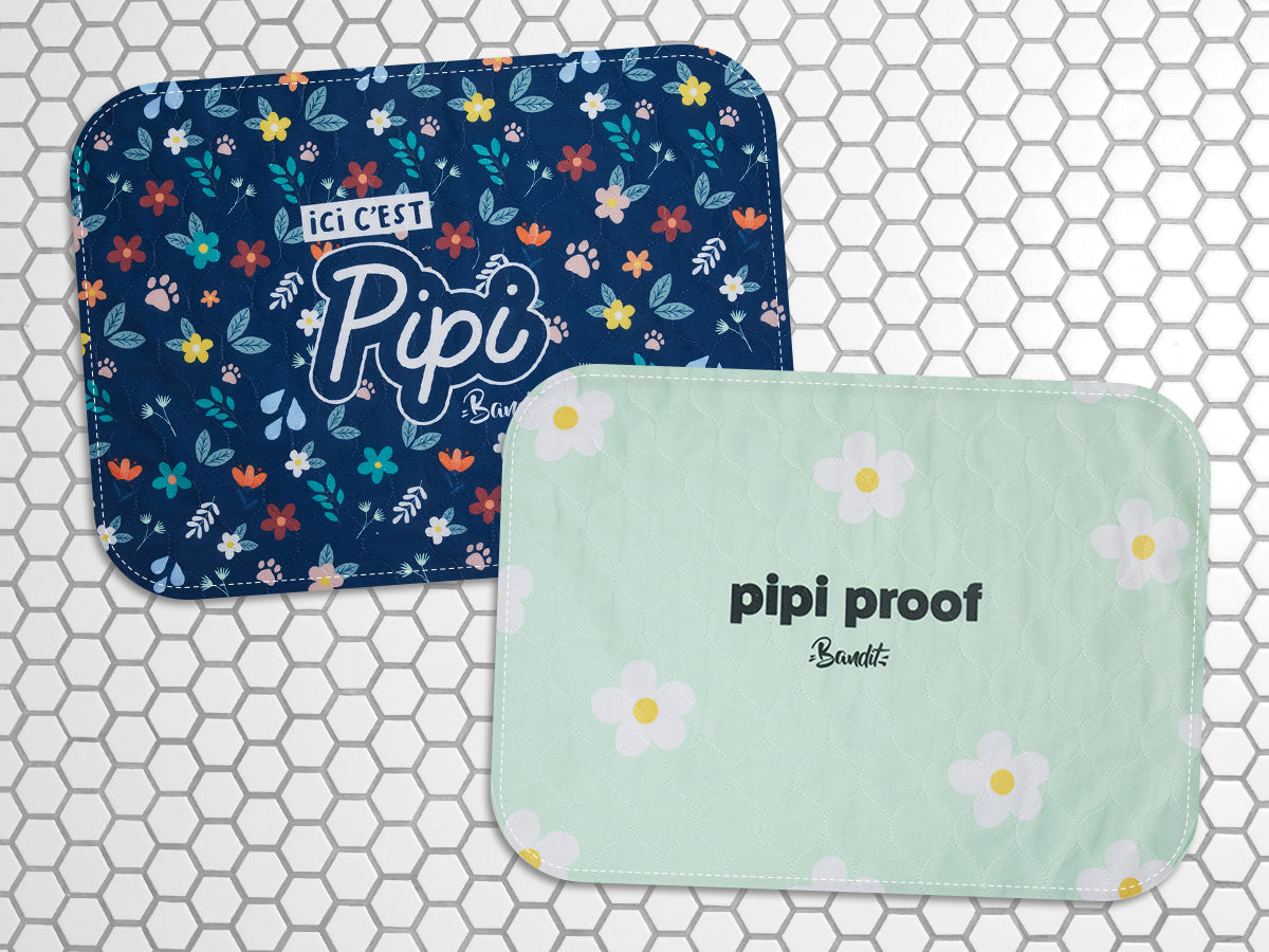Lot de 2 tapis de propreté